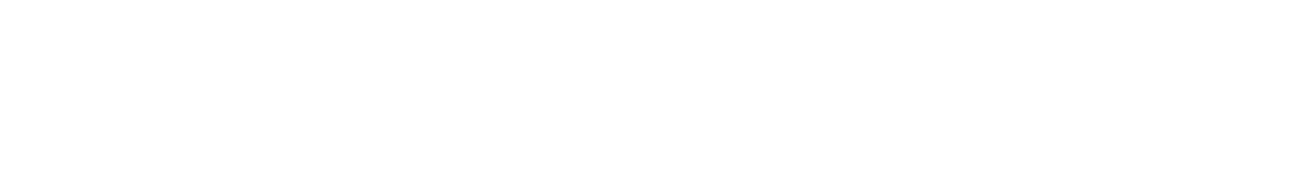 CS UI 24